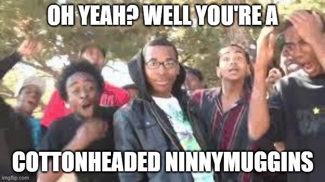 Cottonheaded Ninnymuggins | OH YEAH? WELL YOU'RE A; COTTONHEADED NINNYMUGGINS | image tagged in supa hot fire,buddy the elf | made w/ Imgflip meme maker