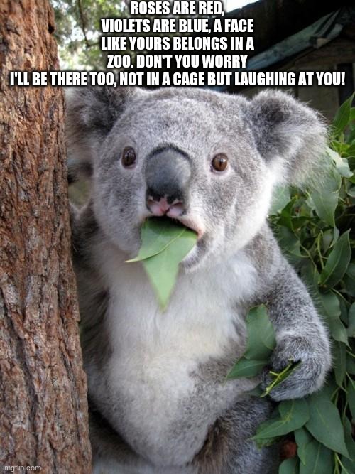 Surprised Koala | ROSES ARE RED, VIOLETS ARE BLUE, A FACE LIKE YOURS BELONGS IN A ZOO. DON'T YOU WORRY I'LL BE THERE TOO, NOT IN A CAGE BUT LAUGHING AT YOU! | image tagged in memes,surprised koala | made w/ Imgflip meme maker