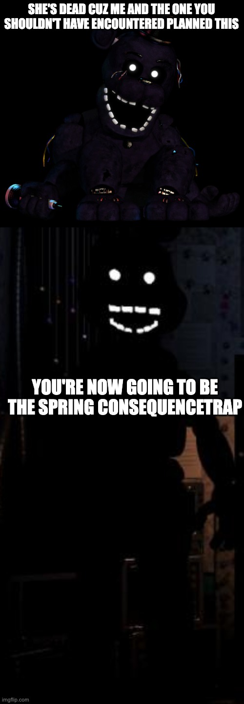 SHE'S DEAD CUZ ME AND THE ONE YOU SHOULDN'T HAVE ENCOUNTERED PLANNED THIS YOU'RE NOW GOING TO BE THE SPRING CONSEQUENCETRAP | image tagged in shadow freddy,shadow bonnie | made w/ Imgflip meme maker