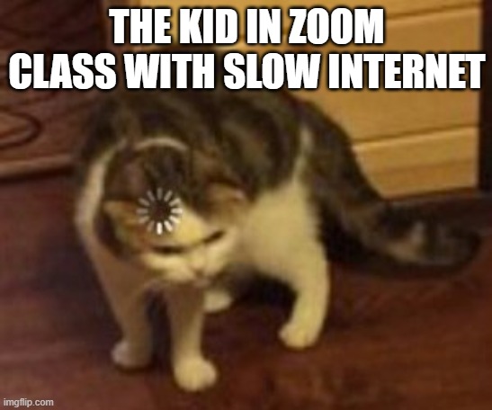 hmmm | THE KID IN ZOOM CLASS WITH SLOW INTERNET | image tagged in loading cat | made w/ Imgflip meme maker