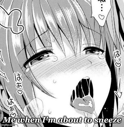 Ahegao | Me when I'm about to sneeze | image tagged in ahegao | made w/ Imgflip meme maker