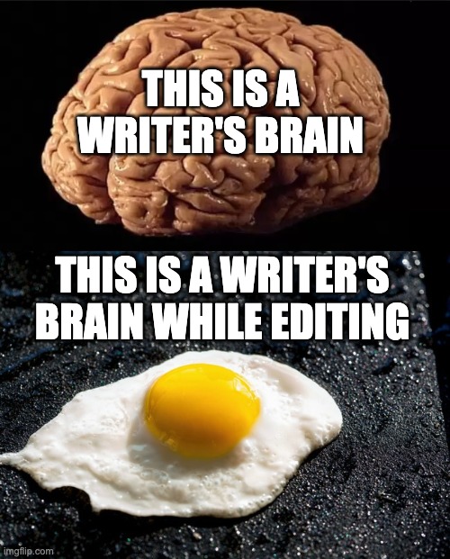 This is your brain | THIS IS A WRITER'S BRAIN; THIS IS A WRITER'S BRAIN WHILE EDITING | image tagged in this is your brain | made w/ Imgflip meme maker