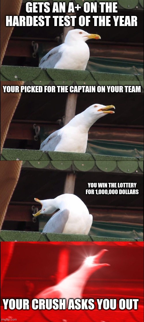 Inhaling Seagull | GETS AN A+ ON THE HARDEST TEST OF THE YEAR; YOUR PICKED FOR THE CAPTAIN ON YOUR TEAM; YOU WIN THE LOTTERY FOR 1,000,000 DOLLARS; YOUR CRUSH ASKS YOU OUT | image tagged in memes,inhaling seagull | made w/ Imgflip meme maker