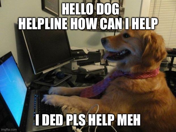 Dog behind a computer | HELLO DOG HELPLINE HOW CAN I HELP; I DED PLS HELP MEH | image tagged in dog behind a computer | made w/ Imgflip meme maker