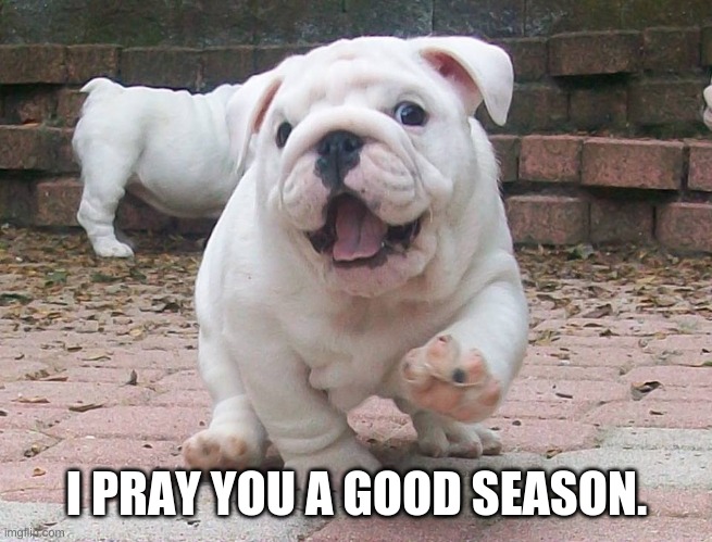 Dont worry | I PRAY YOU A GOOD SEASON. | image tagged in dont worry | made w/ Imgflip meme maker