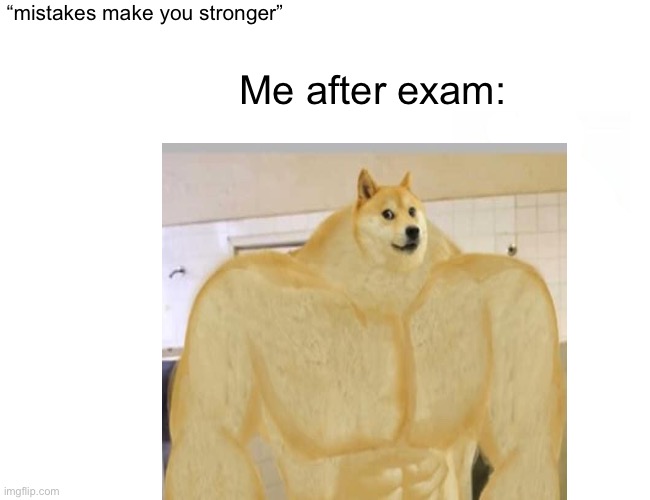 “mistakes make you stronger”; Me after exam: | image tagged in fun | made w/ Imgflip meme maker