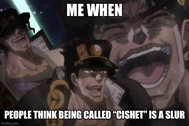 Laughing Jotaro | ME WHEN; PEOPLE THINK BEING CALLED “CISHET” IS A SLUR | image tagged in laughing jotaro | made w/ Imgflip meme maker
