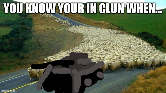 sheep | YOU KNOW YOUR IN CLUN WHEN... | image tagged in sheep | made w/ Imgflip meme maker