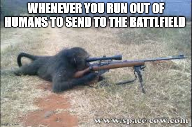 Funny animals | WHENEVER YOU RUN OUT OF HUMANS TO SEND TO THE BATTLFIELD | image tagged in funny animals | made w/ Imgflip meme maker