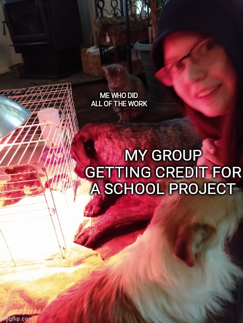 This is so true | ME WHO DID ALL OF THE WORK; MY GROUP GETTING CREDIT FOR A SCHOOL PROJECT | image tagged in school,homework,sad | made w/ Imgflip meme maker