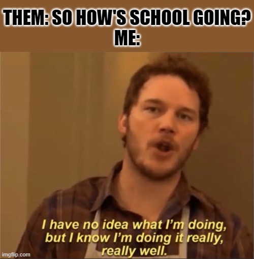 I have no idea what I'm doing | THEM: SO HOW'S SCHOOL GOING?
ME: | image tagged in i have no idea what i'm doing | made w/ Imgflip meme maker