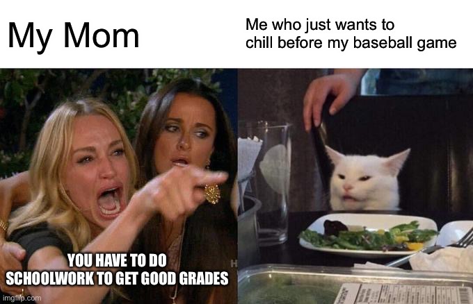 I just want to chill | My Mom; Me who just wants to chill before my baseball game; YOU HAVE TO DO SCHOOLWORK TO GET GOOD GRADES | image tagged in memes,woman yelling at cat | made w/ Imgflip meme maker