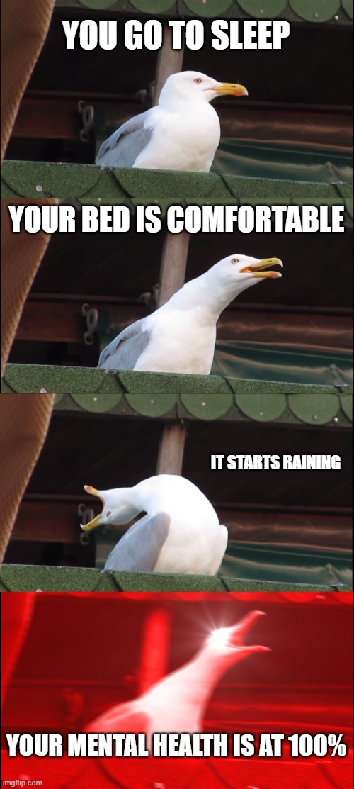 Inhaling Seagull | YOU GO TO SLEEP; YOUR BED IS COMFORTABLE; IT STARTS RAINING; YOUR MENTAL HEALTH IS AT 100% | image tagged in memes,inhaling seagull | made w/ Imgflip meme maker