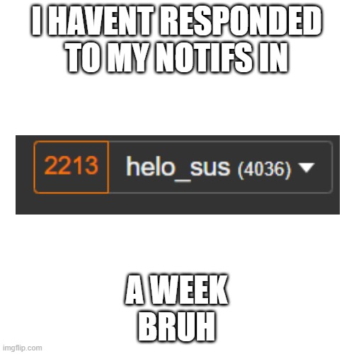 Blank Transparent Square Meme | I HAVENT RESPONDED TO MY NOTIFS IN A WEEK

BRUH | image tagged in memes,blank transparent square | made w/ Imgflip meme maker