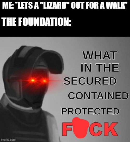 what in the scpf | ME: *LETS A "LIZARD" OUT FOR A WALK*; THE FOUNDATION: | image tagged in what in the scpf,scp meme | made w/ Imgflip meme maker