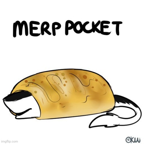 Merp pocket (not mine, obviously) | made w/ Imgflip meme maker