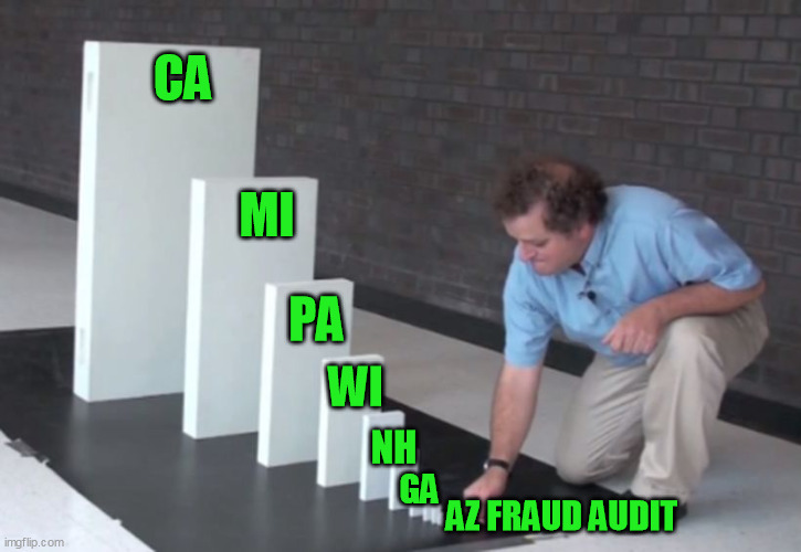 What are they so terrified of?  Maybe something like this? | CA; MI; PA; WI; NH; GA; AZ FRAUD AUDIT | image tagged in domino effect,election fraud,dominion voting machines,trump 2020,ballot theft,deep state | made w/ Imgflip meme maker