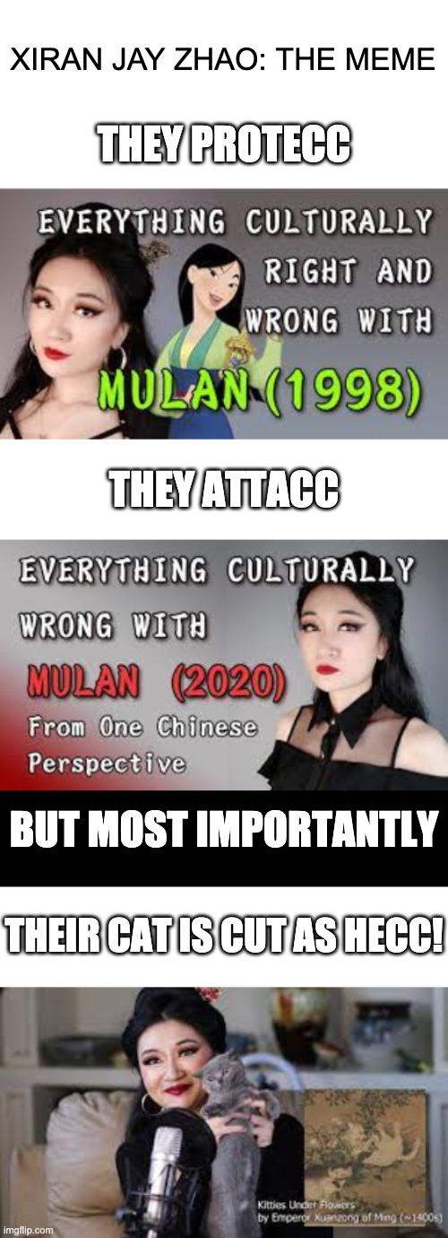Xiran Jay Zhao | XIRAN JAY ZHAO: THE MEME; THEY PROTECC; THEY ATTACC; BUT MOST IMPORTANTLY; THEIR CAT IS CUT AS HECC! | image tagged in memes | made w/ Imgflip meme maker