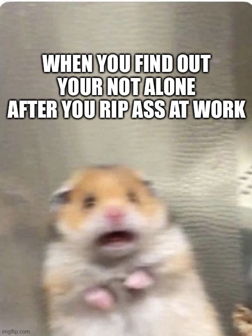 Rip it | WHEN YOU FIND OUT YOUR NOT ALONE AFTER YOU RIP ASS AT WORK | image tagged in when you realize,fart,rip ass,oops,reaction | made w/ Imgflip meme maker