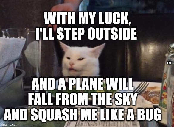 Salad cat | WITH MY LUCK, I'LL STEP OUTSIDE; J M; AND A PLANE WILL FALL FROM THE SKY AND SQUASH ME LIKE A BUG | image tagged in salad cat | made w/ Imgflip meme maker