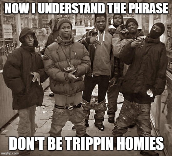 Don't be trippin | NOW I UNDERSTAND THE PHRASE; DON'T BE TRIPPIN HOMIES | image tagged in all my homies hate | made w/ Imgflip meme maker