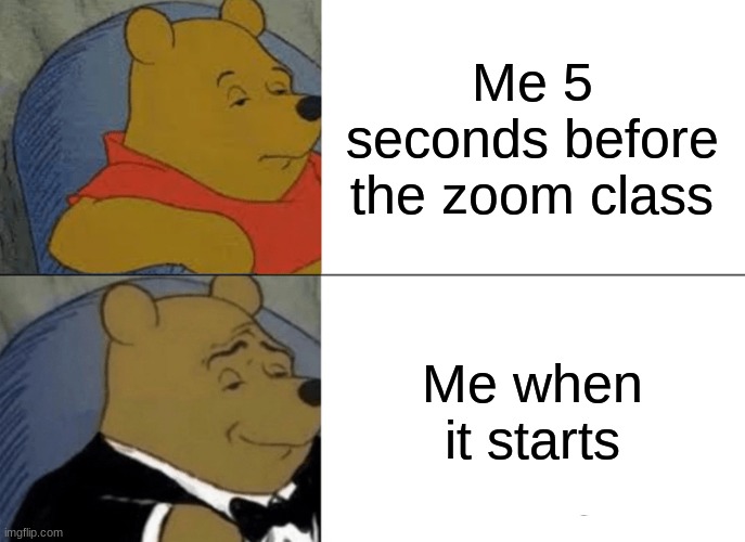 Tuxedo Winnie The Pooh | Me 5 seconds before the zoom class; Me when it starts | image tagged in memes,tuxedo winnie the pooh | made w/ Imgflip meme maker