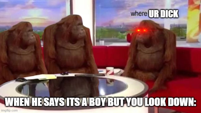 dick | UR DICK; WHEN HE SAYS ITS A BOY BUT YOU LOOK DOWN: | image tagged in where banana | made w/ Imgflip meme maker