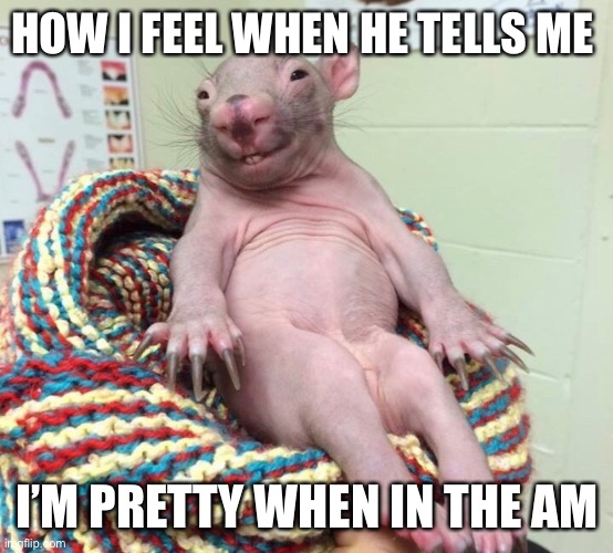 Ah shizz | HOW I FEEL WHEN HE TELLS ME; I’M PRETTY WHEN IN THE AM | image tagged in pretty girl,funny,morning looks | made w/ Imgflip meme maker