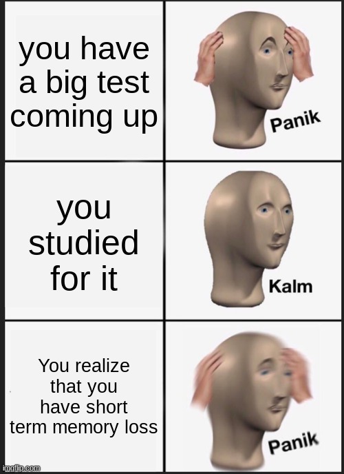Panik Kalm Panik Meme | you have a big test coming up; you studied for it; You realize that you have short term memory loss | image tagged in memes,panik kalm panik | made w/ Imgflip meme maker