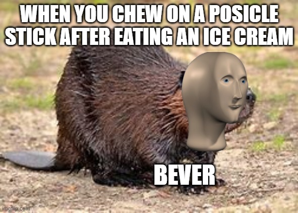 WHEN YOU CHEW ON A POSICLE STICK AFTER EATING AN ICE CREAM; BEVER | image tagged in memes,funny,stonks,animals | made w/ Imgflip meme maker