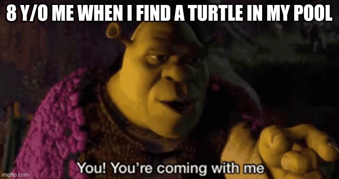 My brother just found one a few days ago | 8 Y/O ME WHEN I FIND A TURTLE IN MY POOL | image tagged in shrek your coming with me,memes,funny,funny memes | made w/ Imgflip meme maker