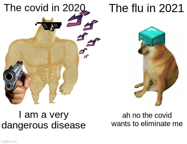 Coid | The covid in 2020; The flu in 2021; I am a very dangerous disease; ah no the covid wants to eliminate me | image tagged in memes,buff doge vs cheems | made w/ Imgflip meme maker
