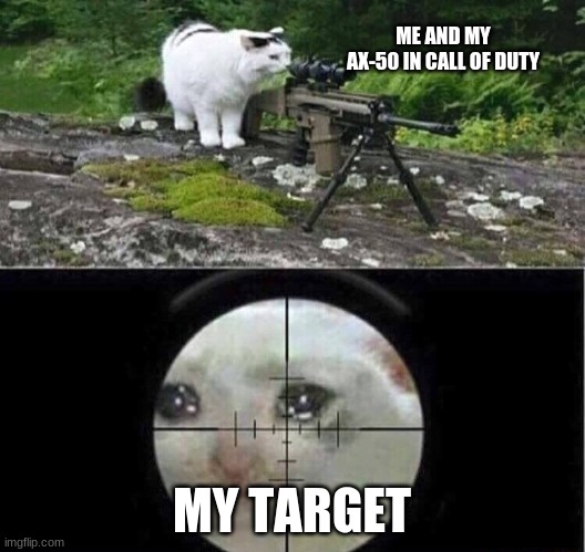 Sniper cat | ME AND MY AX-50 IN CALL OF DUTY; MY TARGET | image tagged in sniper cat | made w/ Imgflip meme maker