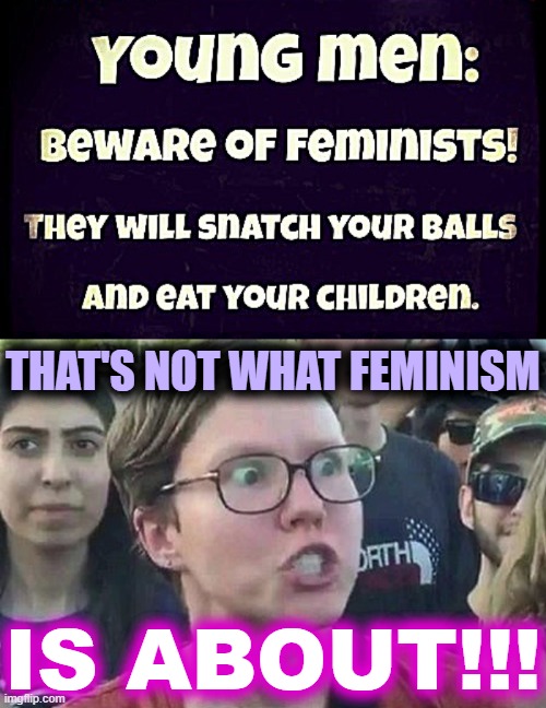 Who are you gonna believe on this one, folks? The screeching feminist, or...? #MAGA #FeminismIsCancer #LiberalsAreDeranged | THAT'S NOT WHAT FEMINISM; IS ABOUT!!! | image tagged in triggered liberal,feminism is cancer,anti-feminism,triggered feminist,feminism,liberalism | made w/ Imgflip meme maker