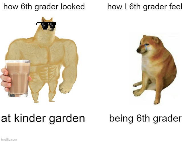 Buff Doge vs. Cheems Meme | how 6th grader looked; how I 6th grader feel; at kinder garden; being 6th grader | image tagged in memes,buff doge vs cheems | made w/ Imgflip meme maker