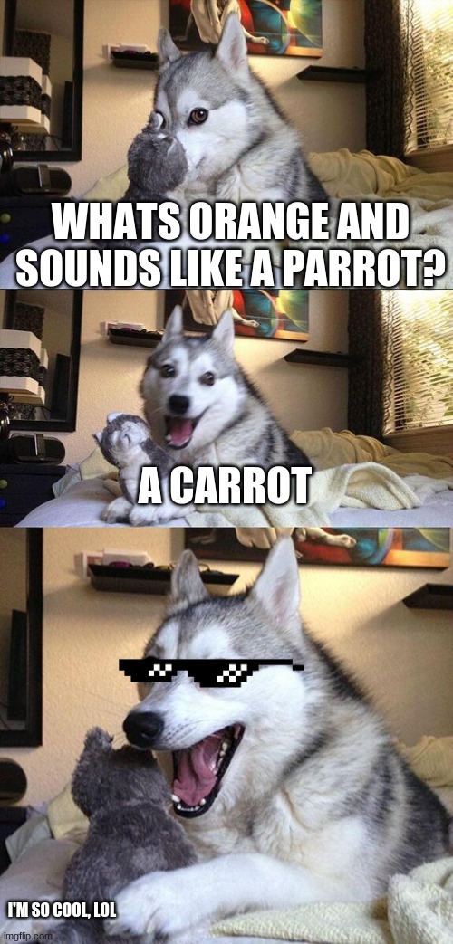 I'm so cool, lol | WHATS ORANGE AND SOUNDS LIKE A PARROT? A CARROT; I'M SO COOL, LOL | image tagged in memes,bad pun dog,funny meme | made w/ Imgflip meme maker