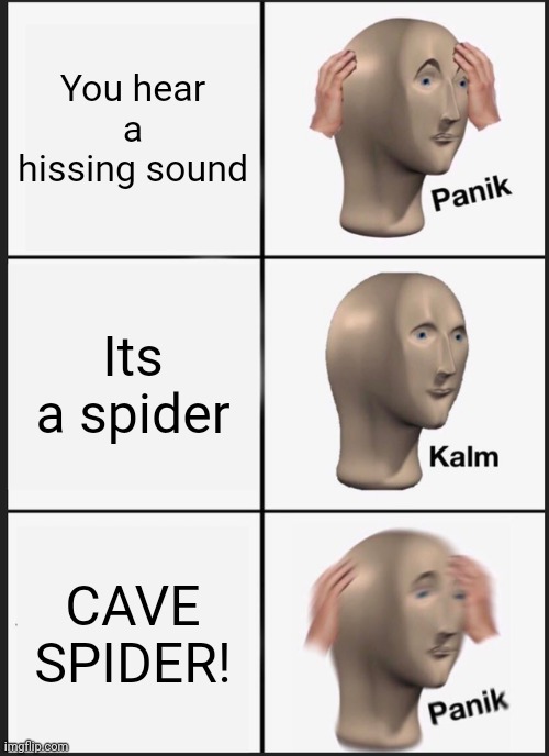 RUN | You hear a hissing sound; Its a spider; CAVE SPIDER! | image tagged in memes,panik kalm panik | made w/ Imgflip meme maker