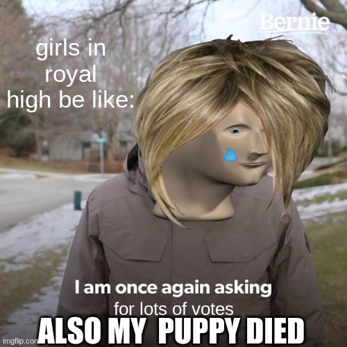 royal high | girls in royal high be like:; for lots of votes; ALSO MY  PUPPY DIED | image tagged in roblox meme,gaming,lol | made w/ Imgflip meme maker
