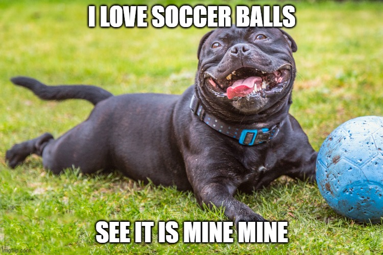 I LOVE SOCCER BALLS; SEE IT IS MINE MINE | image tagged in doge | made w/ Imgflip meme maker