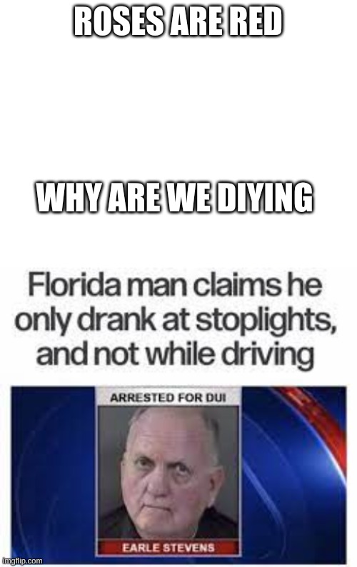 ROSES ARE RED; WHY ARE WE DIYING | image tagged in blank white template,infinite iq | made w/ Imgflip meme maker