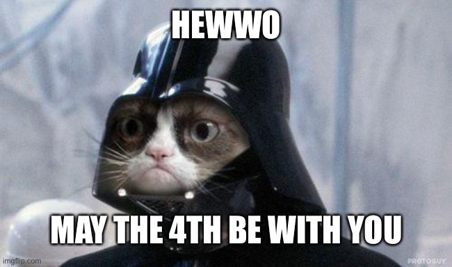 Grumpy Cat Star Wars Meme | HEWWO MAY THE 4TH BE WITH YOU | image tagged in memes,grumpy cat star wars,grumpy cat | made w/ Imgflip meme maker