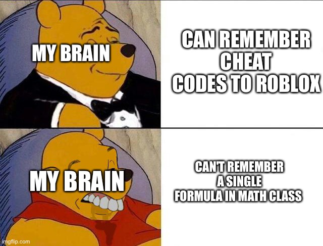 Tuxedo Winnie the Pooh grossed reverse | CAN REMEMBER CHEAT CODES TO ROBLOX; MY BRAIN; MY BRAIN; CAN'T REMEMBER A SINGLE FORMULA IN MATH CLASS | image tagged in tuxedo winnie the pooh grossed reverse | made w/ Imgflip meme maker