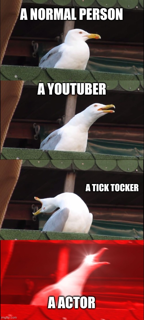 Things | A NORMAL PERSON; A YOUTUBER; A TICK TOCKER; A ACTOR | image tagged in memes,inhaling seagull | made w/ Imgflip meme maker