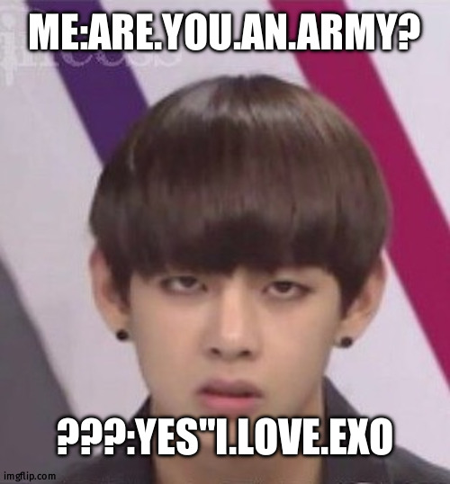 Bts.fun | ME:ARE.YOU.AN.ARMY? ???:YES"I.LOVE.EXO | image tagged in bts v | made w/ Imgflip meme maker