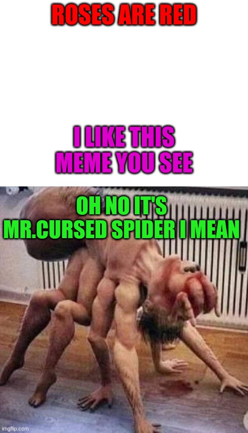 ROSES ARE RED; I LIKE THIS MEME YOU SEE; OH NO IT'S MR.CURSED SPIDER I MEAN | image tagged in blank white template | made w/ Imgflip meme maker