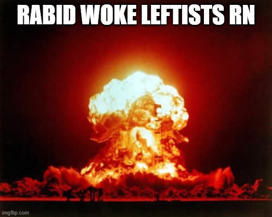 Nuclear Explosion Meme | RABID WOKE LEFTISTS RN | image tagged in memes,nuclear explosion | made w/ Imgflip meme maker