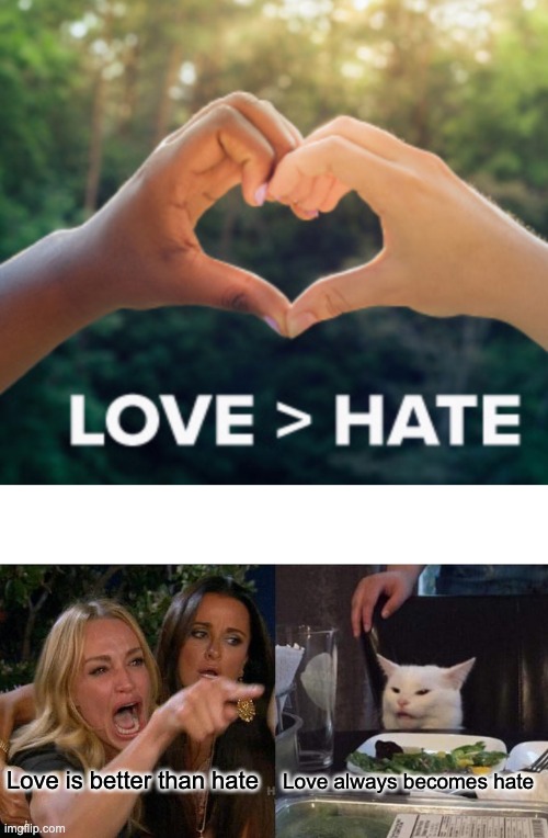 Incel logic | Love is better than hate; Love always becomes hate | image tagged in memes,woman yelling at cat | made w/ Imgflip meme maker