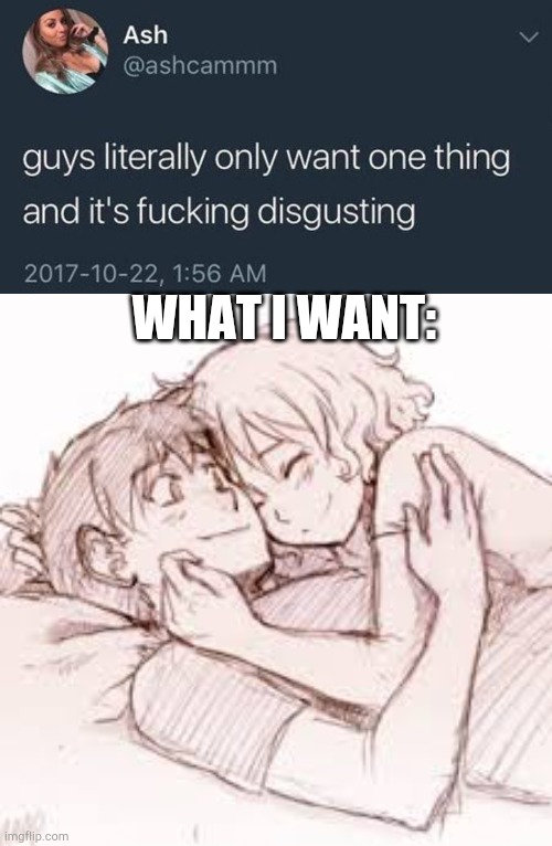 WHAT I WANT: | image tagged in guys only want one thing | made w/ Imgflip meme maker