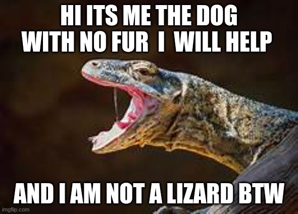 HI ITS ME THE DOG WITH NO FUR  I  WILL HELP AND I AM NOT A LIZARD BTW | made w/ Imgflip meme maker