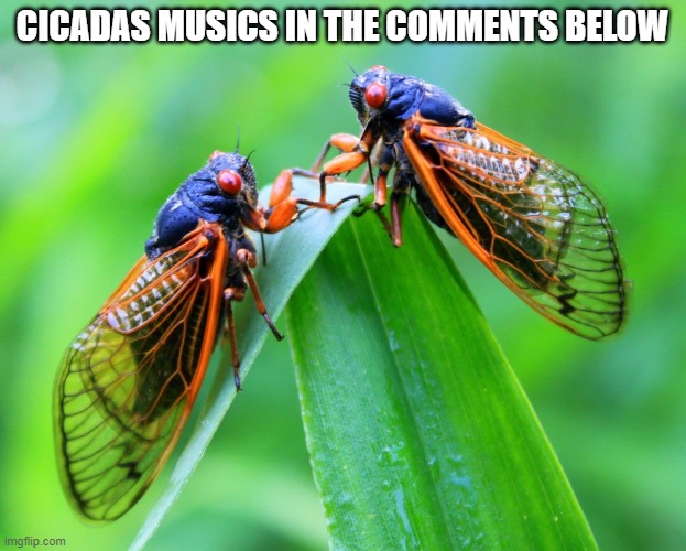 *Cicadas sounds intensifies* | CICADAS MUSICS IN THE COMMENTS BELOW | made w/ Imgflip meme maker